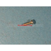 Phillips 4-40 Screw