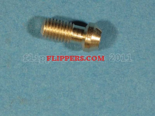 Lockdown Bar Screw