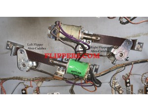 Flipper End of Stroke Switch Assembly - RIGHT