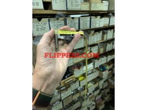 Plunger Pivot Arm for Coil