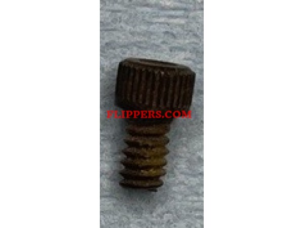 1/4in Hex Screw 1/8india.