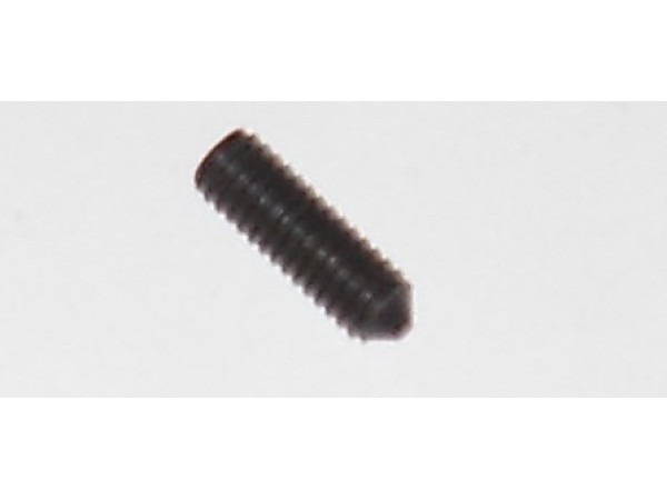 WORM SCREW