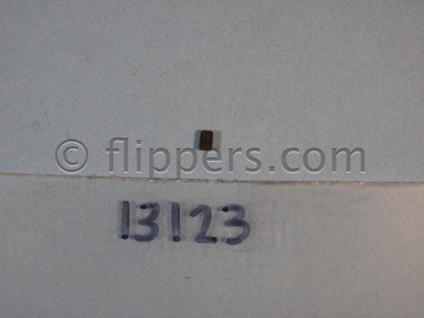 NEEDLE SCREW 3X4 MM